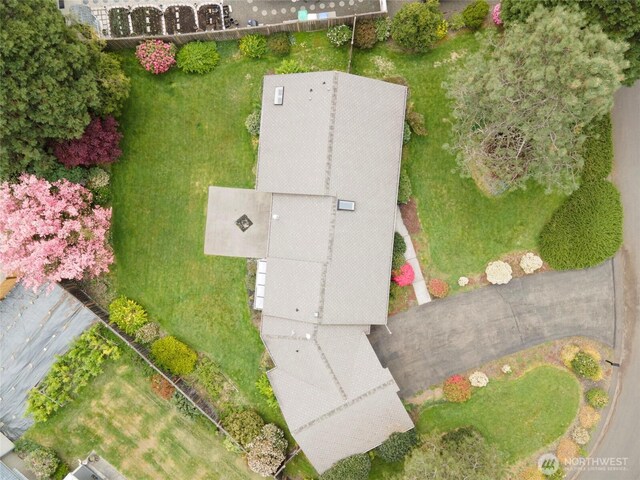 drone / aerial view