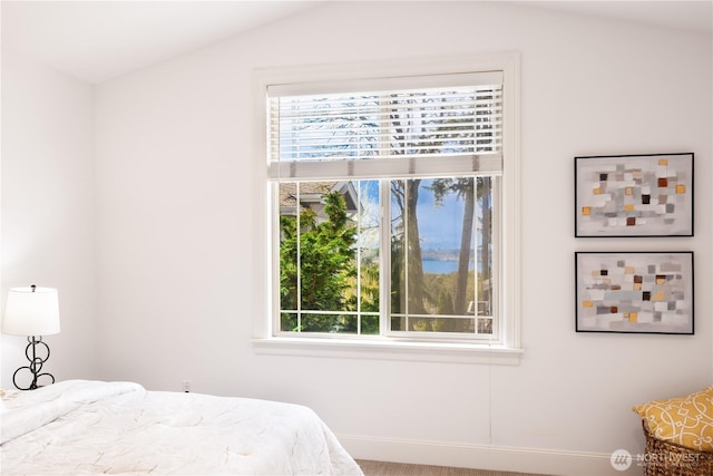 7018 117th Pl NE, Kirkland, WA 98033 - bedroom featuring multiple windows
