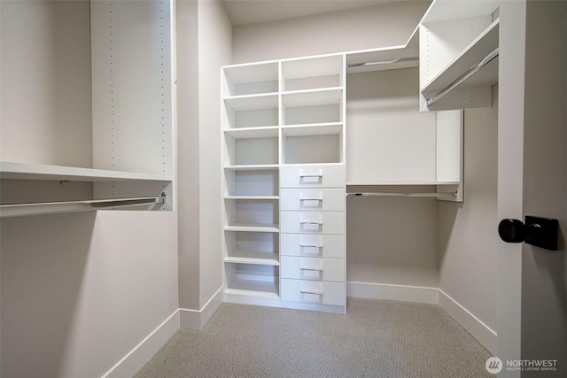 428 20th Ave, Kirkland, WA 98033 - spacious closet with carpet
