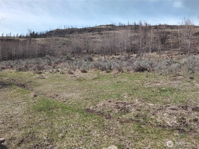 44 Palmer Mountain Rd, Oroville, WA 98844 - photo 8