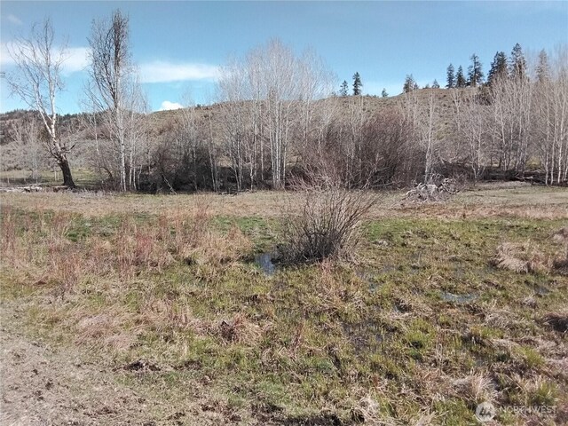 44 Palmer Mountain Rd, Oroville, WA 98844 - photo 9