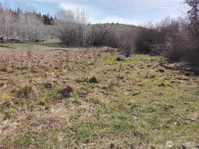 44 Palmer Mountain Rd, Oroville, WA 98844 - photo 5