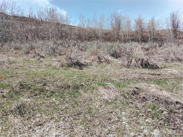 44 Palmer Mountain Rd, Oroville, WA 98844 - photo 17