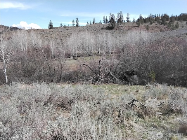 44 Palmer Mountain Rd, Oroville, WA 98844 - photo 18