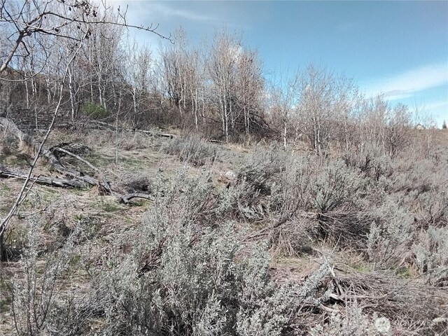 44 Palmer Mountain Rd, Oroville, WA 98844 - photo 19