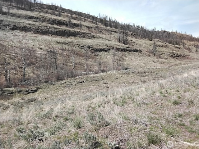 44 Palmer Mountain Rd, Oroville, WA 98844 - photo 20