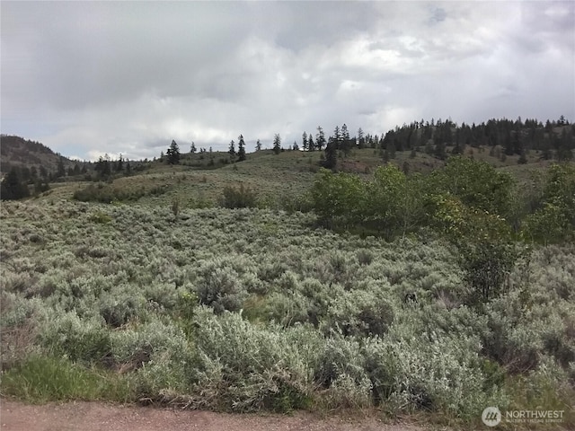 44 Palmer Mountain Rd, Oroville, WA 98844 - photo 1