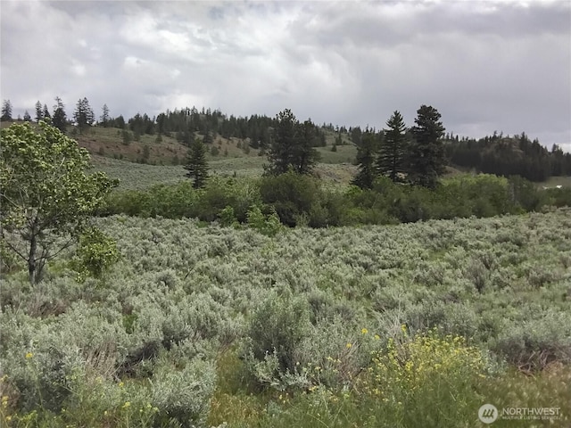 44 Palmer Mountain Rd, Oroville, WA 98844 - photo 2