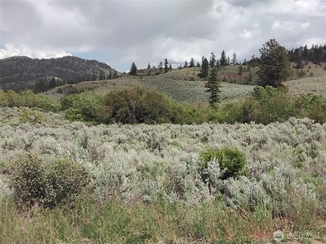 44 Palmer Mountain Rd, Oroville, WA 98844 - photo 11
