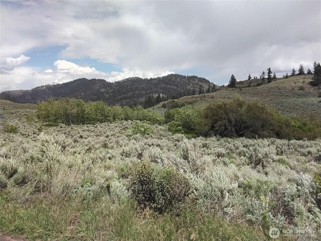 44 Palmer Mountain Rd, Oroville, WA 98844 - photo 13