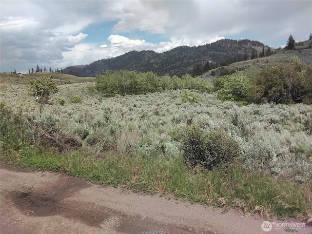 44 Palmer Mountain Rd, Oroville, WA 98844 - photo 3