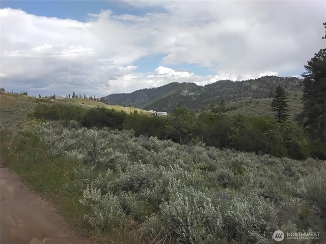 44 Palmer Mountain Rd, Oroville, WA 98844 - photo 6