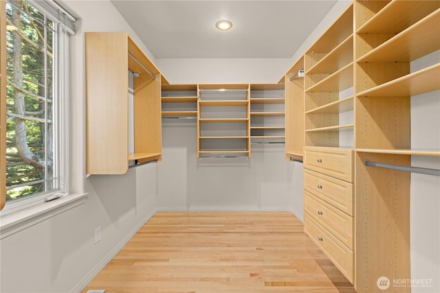 17605 244th Ave SE, Maple Valley, WA 98038 - spacious closet featuring light wood finished floors
