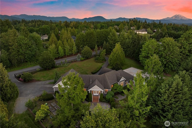 17605 244th Ave SE, Maple Valley, WA 98038 - aerial view at dusk of a mountain view and a forest view