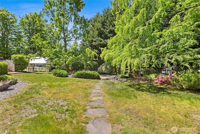 17605 244th Ave SE, Maple Valley, WA 98038 - view of grassy yard