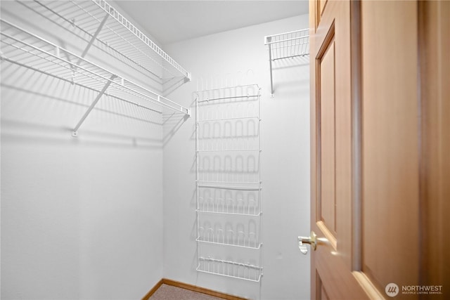 view of spacious closet
