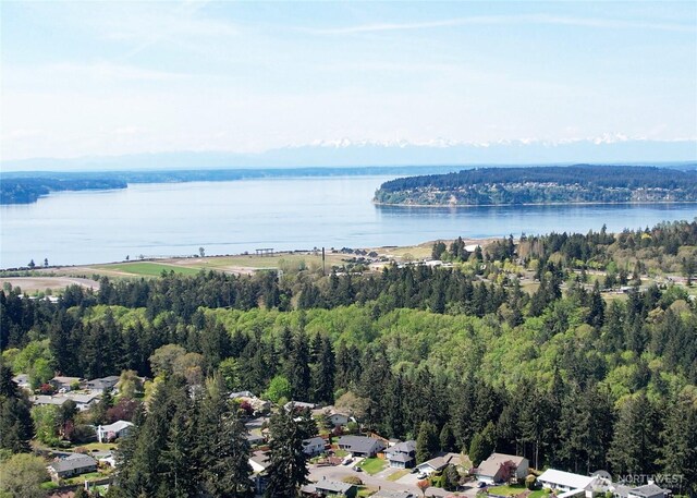 birds eye view of property featuring a water view and a forest view