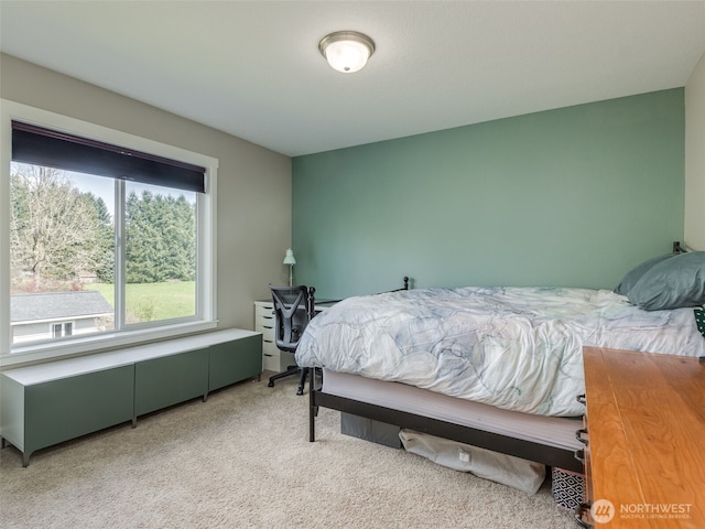 4206 NE 132nd St, Vancouver, WA 98686 - bedroom with light colored carpet