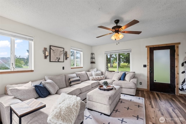 living area featuring a ceiling fan, wood finished floors, and a textured ceiling