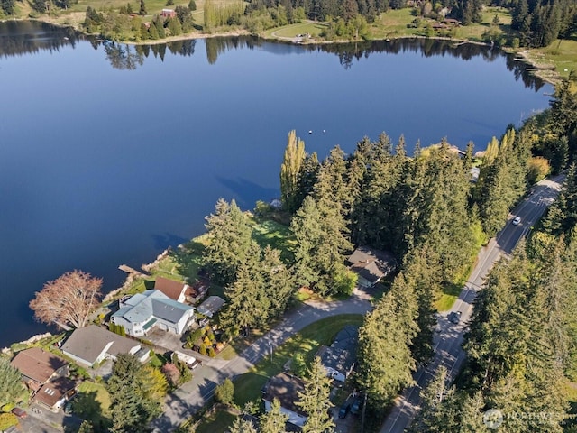 5255 Apollo Rd, Langley, WA 98260 - drone / aerial view featuring a water view and a view of trees