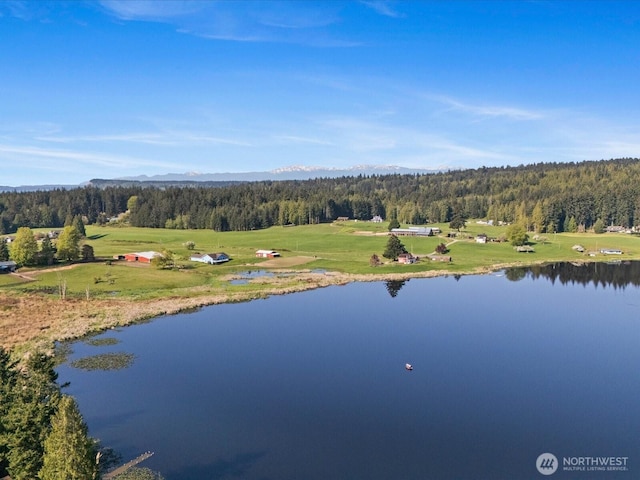 5255 Apollo Rd, Langley, WA 98260 - birds eye view of property featuring a water and mountain view and a view of trees
