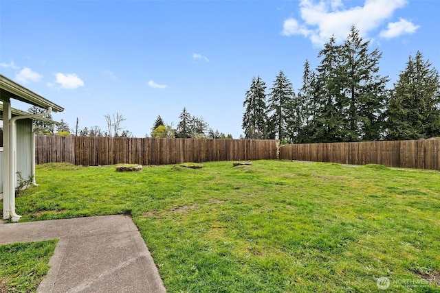 1022710229 Ainsworth Ave S, Tacoma, WA 98444 - photo 20
