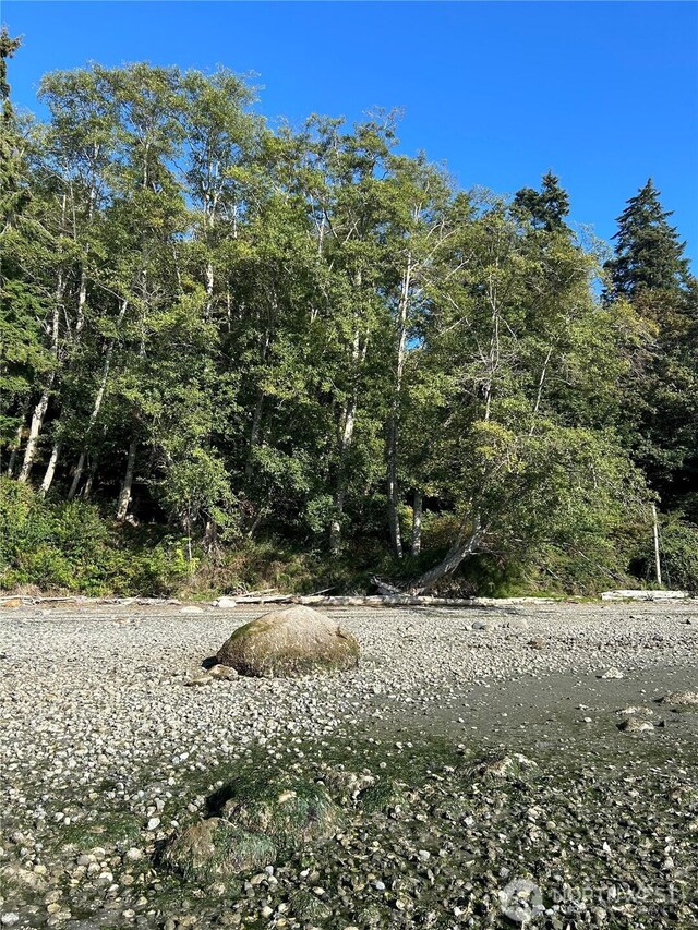 111 Seven Sisters Bch, Port Ludlow, WA 98358 - photo 3