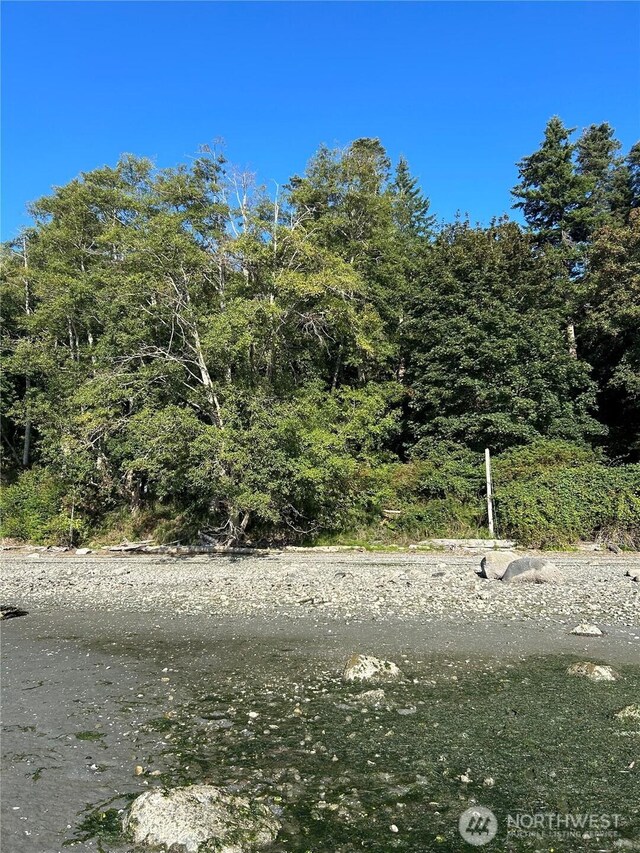111 Seven Sisters Bch, Port Ludlow, WA 98358 - photo 4