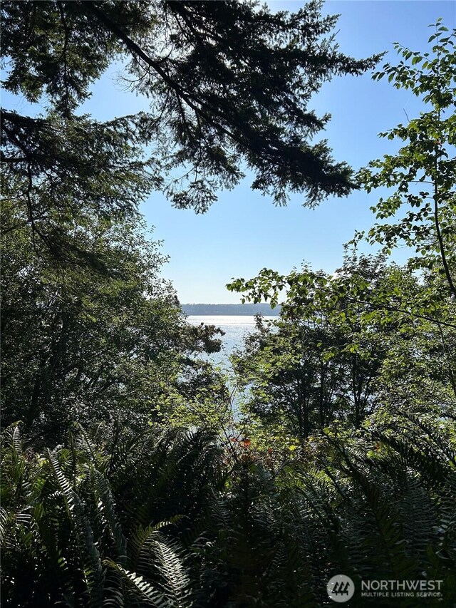 111 Seven Sisters Bch, Port Ludlow, WA 98358 - photo 8