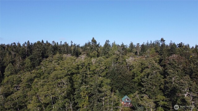 111 Seven Sisters Bch, Port Ludlow, WA 98358 - photo 9