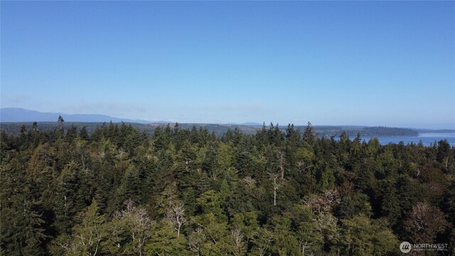 111 Seven Sisters Bch, Port Ludlow, WA 98358 - photo 10