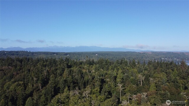 111 Seven Sisters Bch, Port Ludlow, WA 98358 - photo 11
