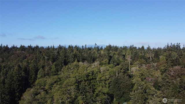 111 Seven Sisters Bch, Port Ludlow, WA 98358 - photo 12