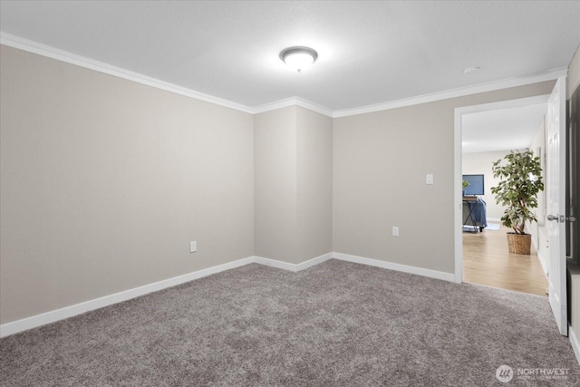 unfurnished room featuring ornamental molding, baseboards, and carpet