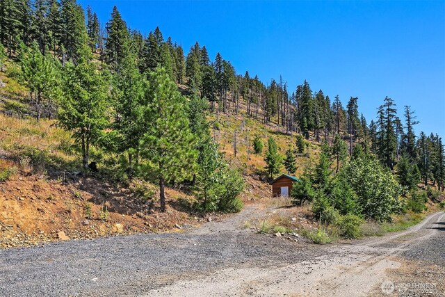 1491 Morgan Creek Rd, Ronald, WA 98940 - photo 4