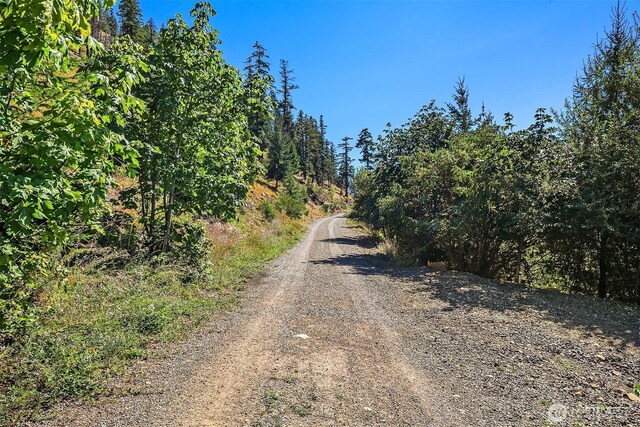 1491 Morgan Creek Rd, Ronald, WA 98940 - photo 9
