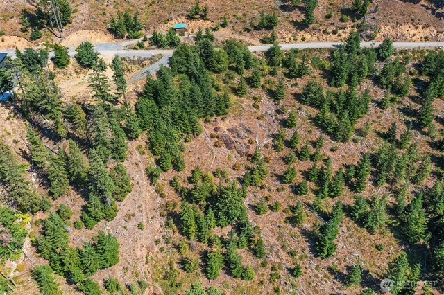 1491 Morgan Creek Rd, Ronald, WA 98940 - photo 11