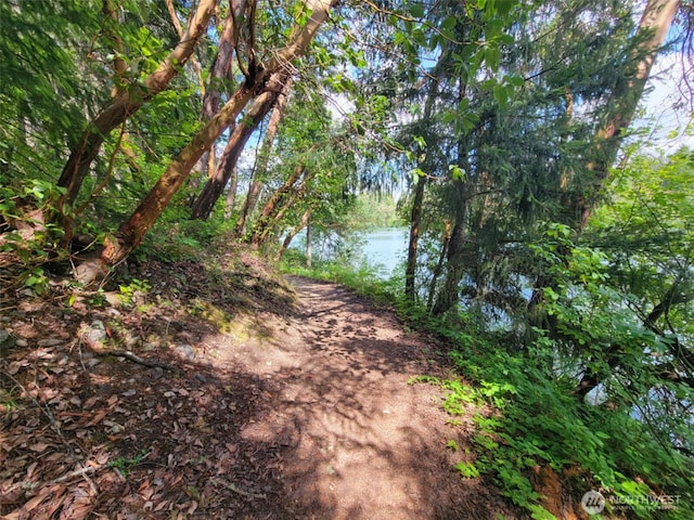 17635 Vine Ln SE, Yelm, WA 98597 - view of nature featuring a large body of water