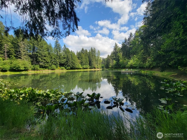 17635 Vine Ln SE, Yelm, WA 98597 - water view with a forest