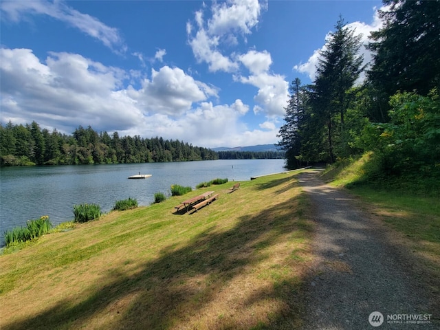 17635 Vine Ln SE, Yelm, WA 98597 - water view with a forest