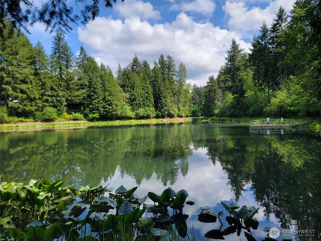17635 Vine Ln SE, Yelm, WA 98597 - water view featuring a forest