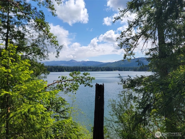 17635 Vine Ln SE, Yelm, WA 98597 - water view featuring a mountain backdrop