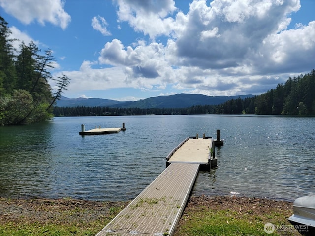 17635 Vine Ln SE, Yelm, WA 98597 - dock area featuring a water and mountain view and a forest view