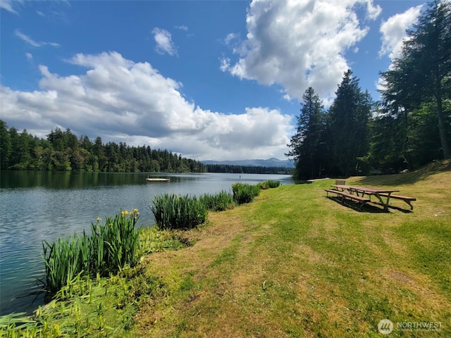 17635 Vine Ln SE, Yelm, WA 98597 - water view featuring a forest