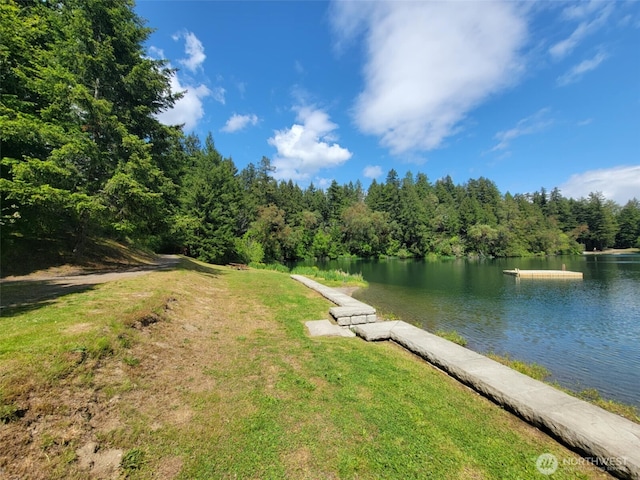 17635 Vine Ln SE, Yelm, WA 98597 - dock area with a water view, a wooded view, and a yard