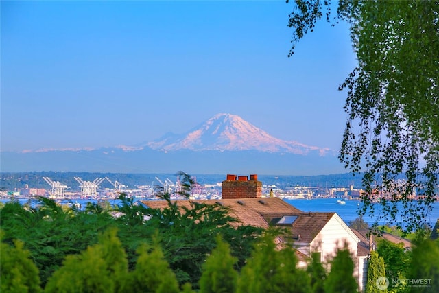 3048 39th Ave W, Seattle, WA 98199 - water view with a mountain view