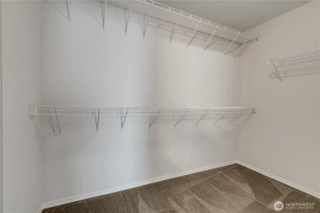 24204 SE 278th St, Maple Valley, WA 98038 - spacious closet featuring carpet