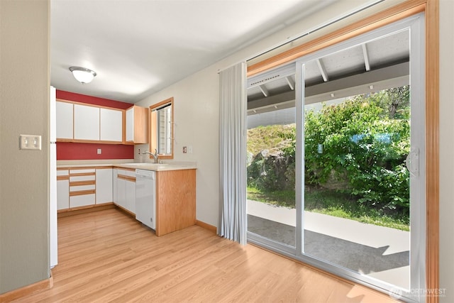 4243 Wintergreen Cir Unit 134, Bellingham, WA 98226 - kitchen with light countertops, a wealth of natural light, light wood-style flooring, and dishwasher
