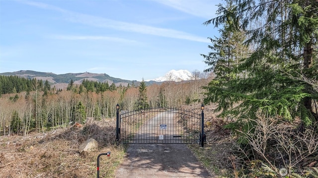 19203 456th St E, Eatonville, WA 98328