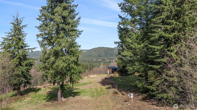 19203 456th St E, Eatonville, WA 98328